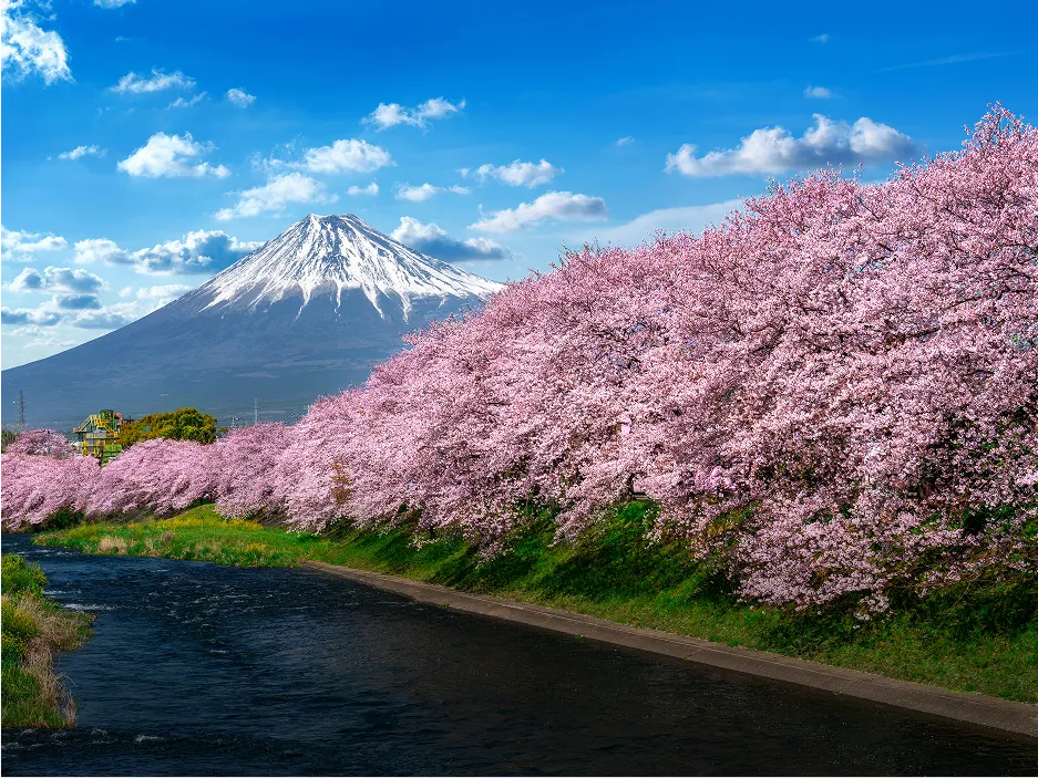 local_export_mockup_article_destination_thumb-1