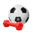 local_export_mockup_promotion_icons_sport