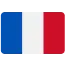 local_export_mockup_article_flag_France